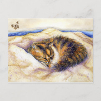 Mini Art Calico Cat Sleeping Postcard