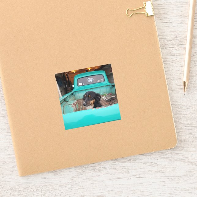 Mini Aussie (Notebook)