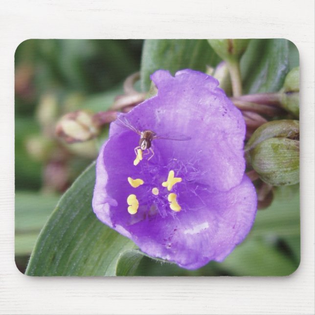 MINI Bee Caught in Flight Mouse Mat (Front)