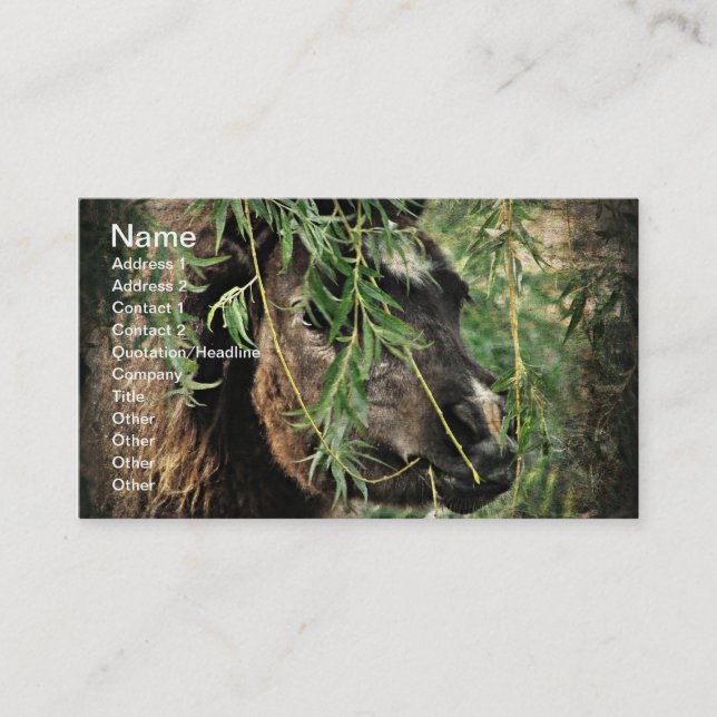 Mini Being Onery Business Card (Front)