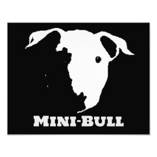 MINI BULL PHOTO PRINT