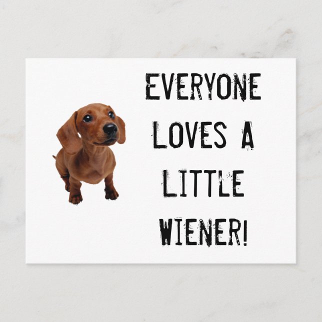 Mini Dachshund Little Wiener Postcard (Front)
