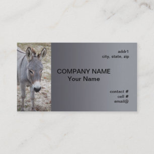 mini donkey business card