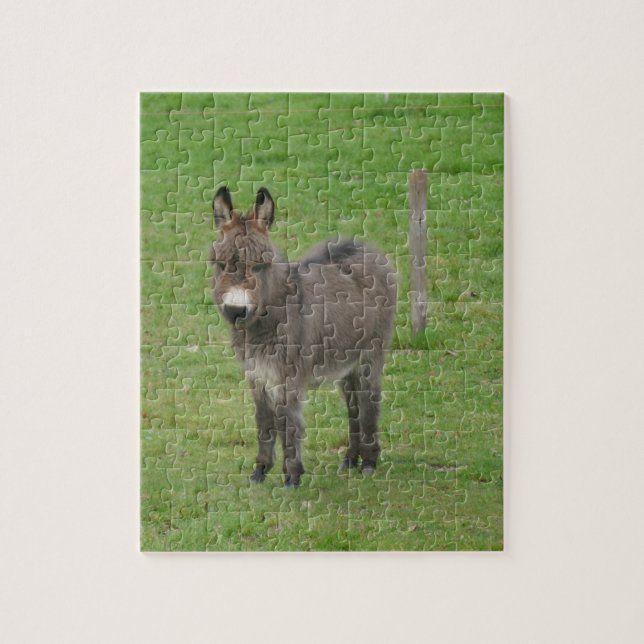 Mini donkey in a paddock. jigsaw puzzle (Vertical)