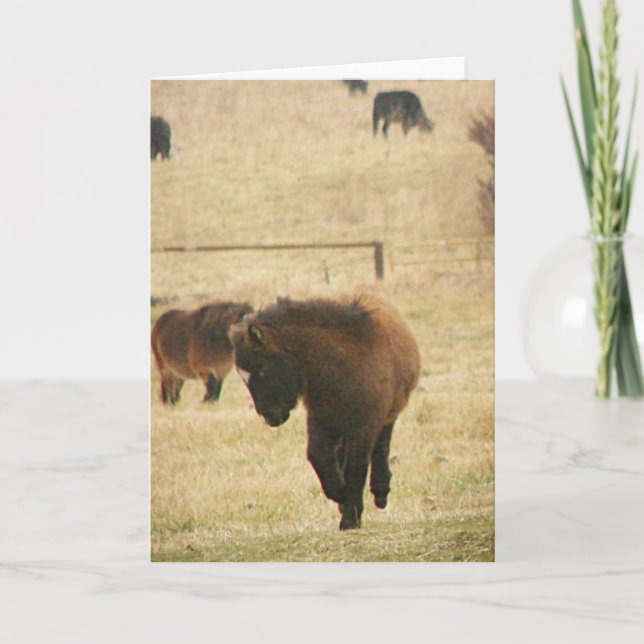 Mini Foal Kicking Up Her Heels Card (Front)