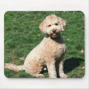 Mini Goldendoodle puppy mousepad