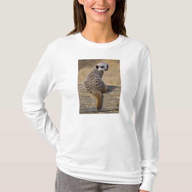 Mini Kat Tee (Front)