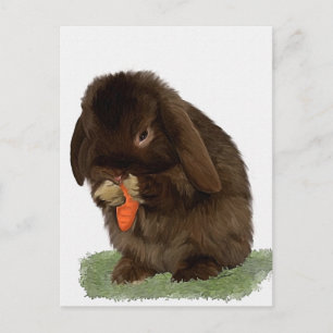 Mini Lop Bunny and carrot Postcard