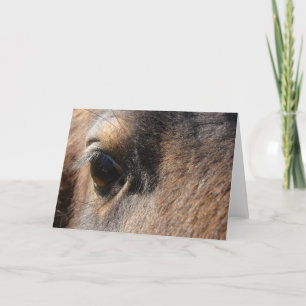 Mini Mare Eye Card