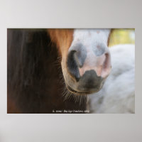 Mini nose