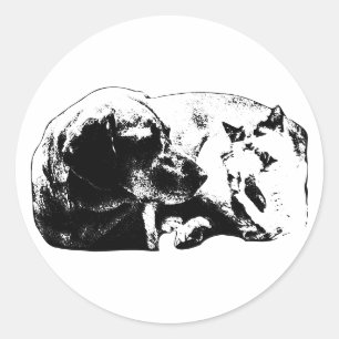 Mini Pals—Dog Meets Cat Classic Round Sticker