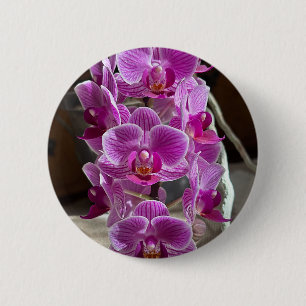 Mini Phalaenopsis Sogo Vivien Purple Orchid Flower 6 Cm Round Badge