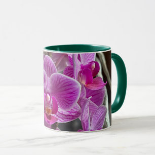 Mini Phalaenopsis Sogo Vivien Purple Orchid Flower Mug