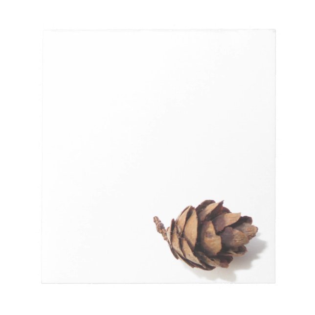 Mini Pine Cone Notepad (Front)