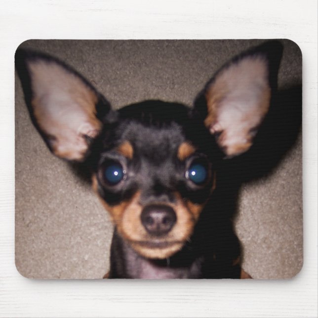 mini pinscher. mouse mat (Front)