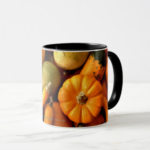 Mini Pumpkins And Gourds Assortment Fall Photo 2 Mug