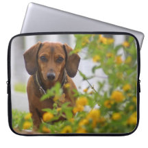 Mini Red Dachshund Laptop Bag