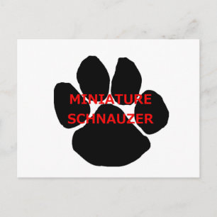 mini schn name paw postcard