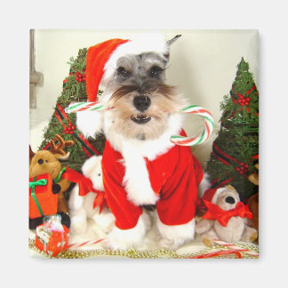 Mini Schnauzer Christmas Magnet