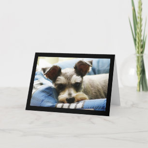 Mini Schnauzer Holiday Card