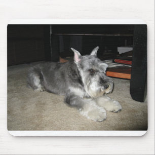 Mini_Schnauzer laying Mouse Mat