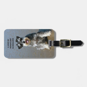 mini schnauzer-love w pic luggage tag