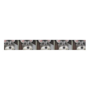 mini schnauzer.png grosgrain ribbon
