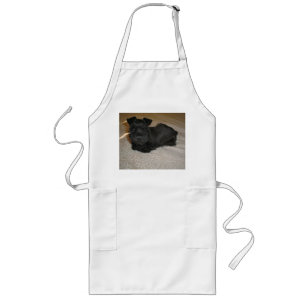 mini schnauzer puppy long apron