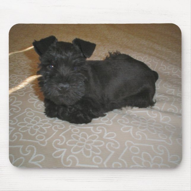 mini schnauzer puppy mouse mat (Front)