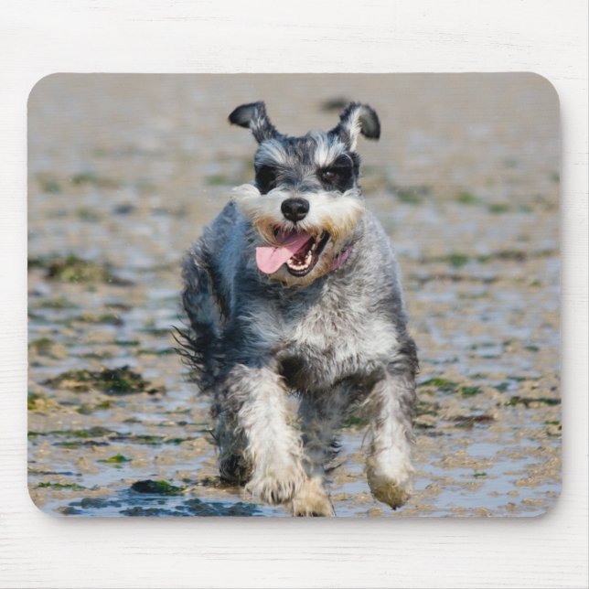 mini schnauzer-running mouse mat (Front)