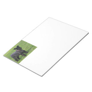 mini shcnauzer full notepad
