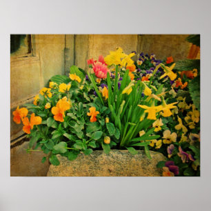 Mini Springtime Garden Poster