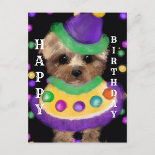 MINI YORKIE POO         POSTCARD