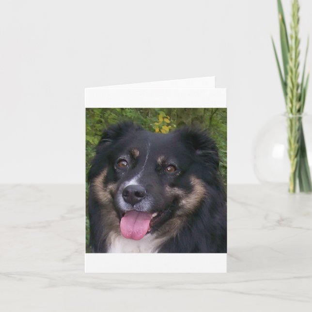 Miniature American Shepherd Black Tri Card (Front)
