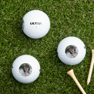 Miniature American Shepherd Black Tri Puppy Golf Balls