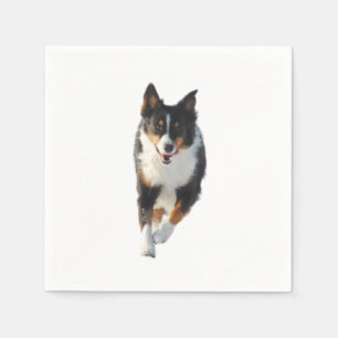 Miniature American Shepherd Black Tri Running Napkin