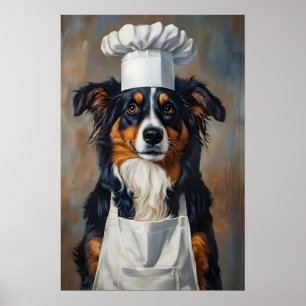 Miniature American Shepherd In Chefs Hat Poster