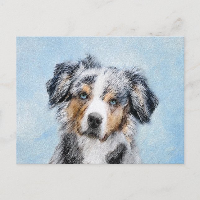 Miniature American Shepherd Painting - Dog Art Postcard (Front)