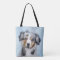 Miniature American Shepherd Painting - Dog Art
