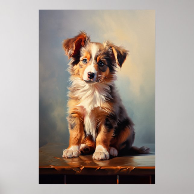 Miniature American Shepherd Poster (Front)