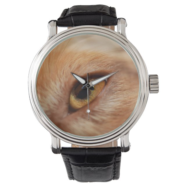 Miniature American Shepherd Red Merle Eye Watch (Front)