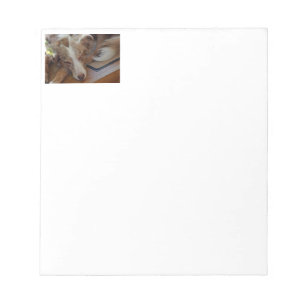 Miniature American Shepherd Red Merle Sleeping Notepad
