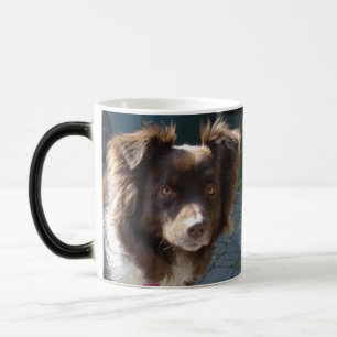miniature american shepherd red tri magic mug