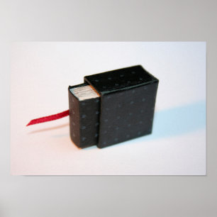 Miniature Artis's Book with its box Poster