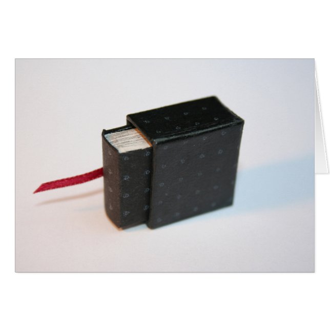 Miniature Artist's Book with its Box Card (Front Horizontal)