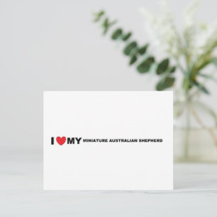 miniature australian shepherd love postcard