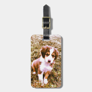 Miniature Australian Shepherd! Mini Aussie Puppy! Luggage Tag