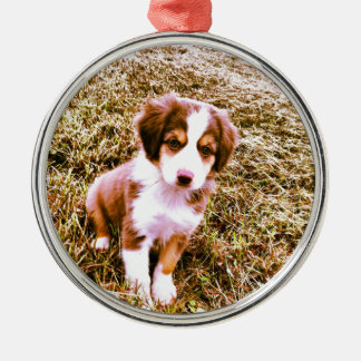 Miniature Australian Shepherd! Mini Aussie Puppy! Metal Tree Decoration