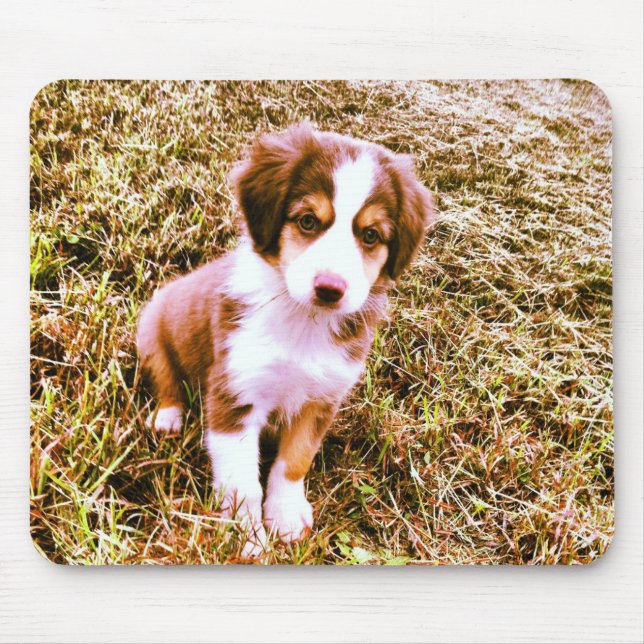 Miniature Australian Shepherd! Mini Aussie Puppy! Mouse Mat (Front)