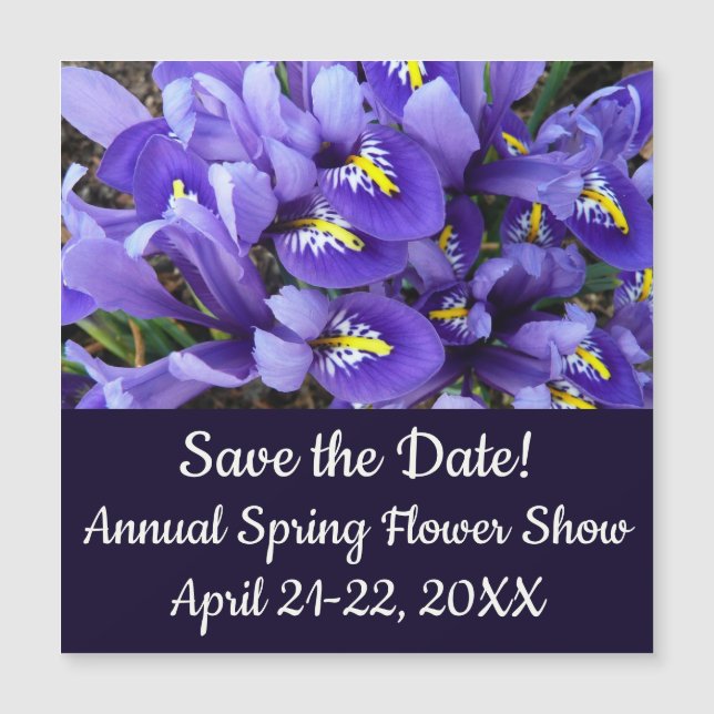 Miniature Blue Irises Spring Floral (Front)